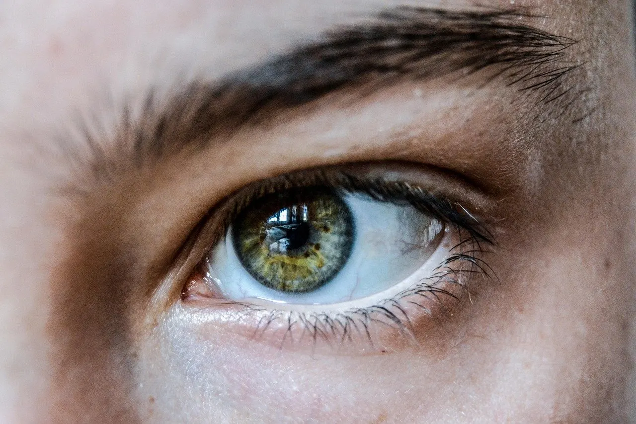 Nahaufnahme eines grünbraunen Auges mit Augenbraue, Oberlid, Wimpern und dem Rand des Unterlids, ohne sichtbare Schwellung